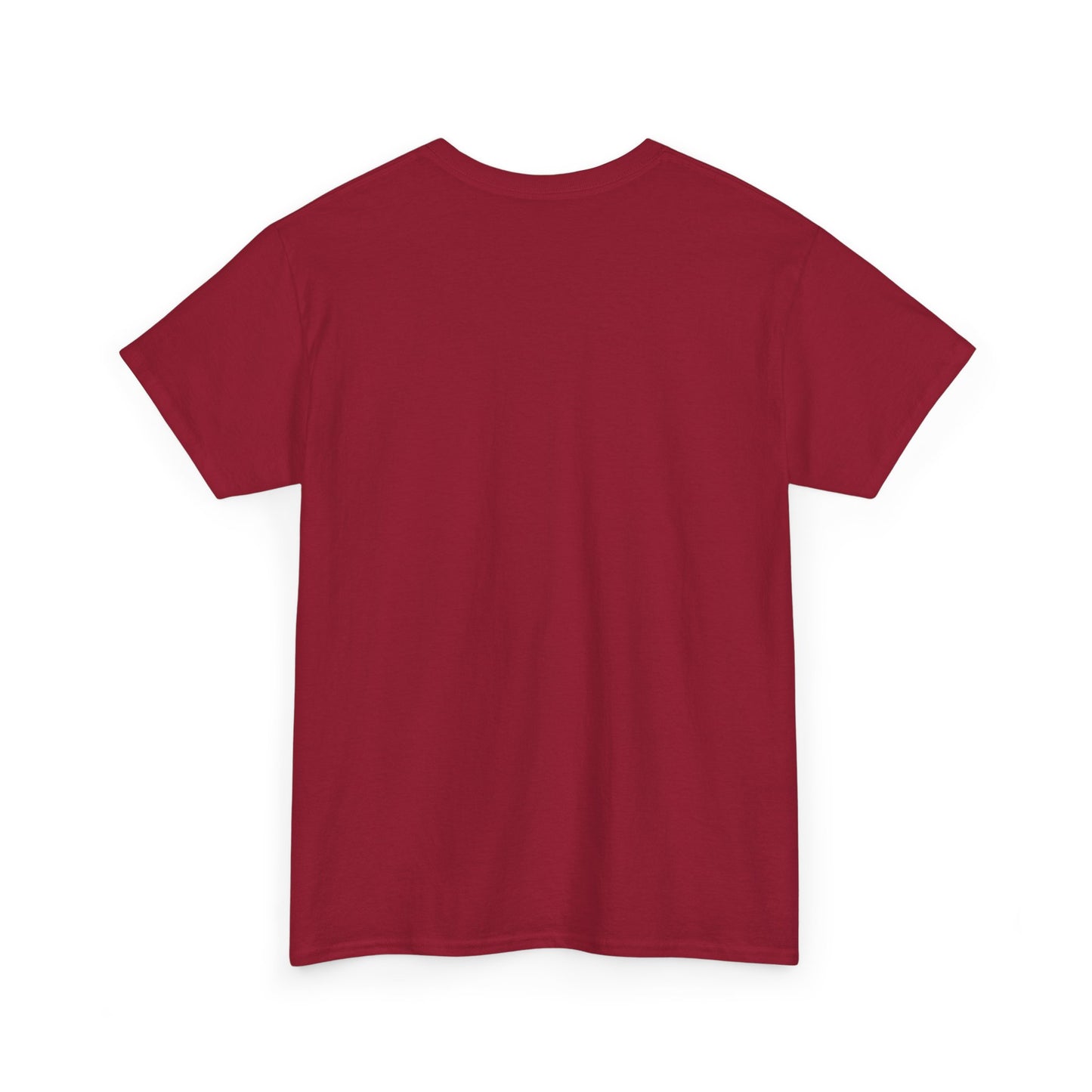 Unisex Heavy Cotton T-shirt - Spiritual Wars Praise & Worship